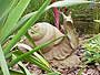 Schnecke